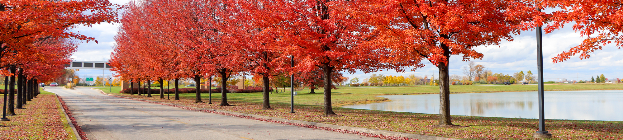 svsu entrance in the fall